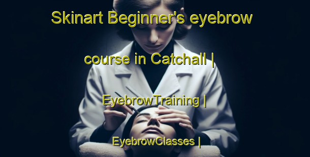 Skinart Beginner's eyebrow course in Catchall | EyebrowTraining | EyebrowClasses | SkinartTraining-United States